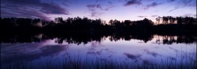 Picturesque Mathews County has over 200 miles of coastline. Click to explore Mathews County and the homes and land available