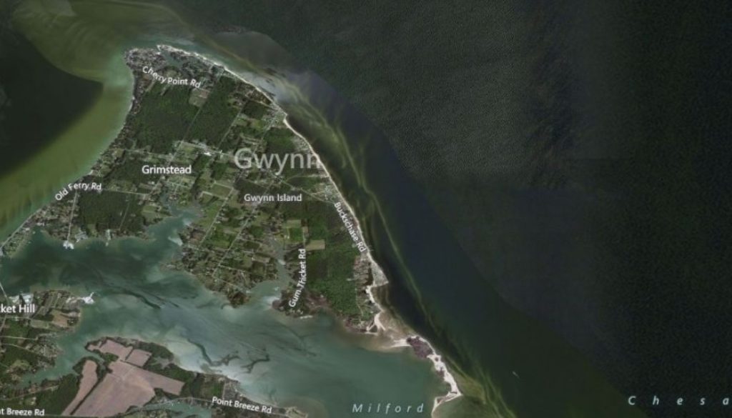 gwynns island