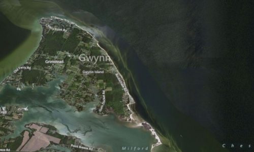gwynns island