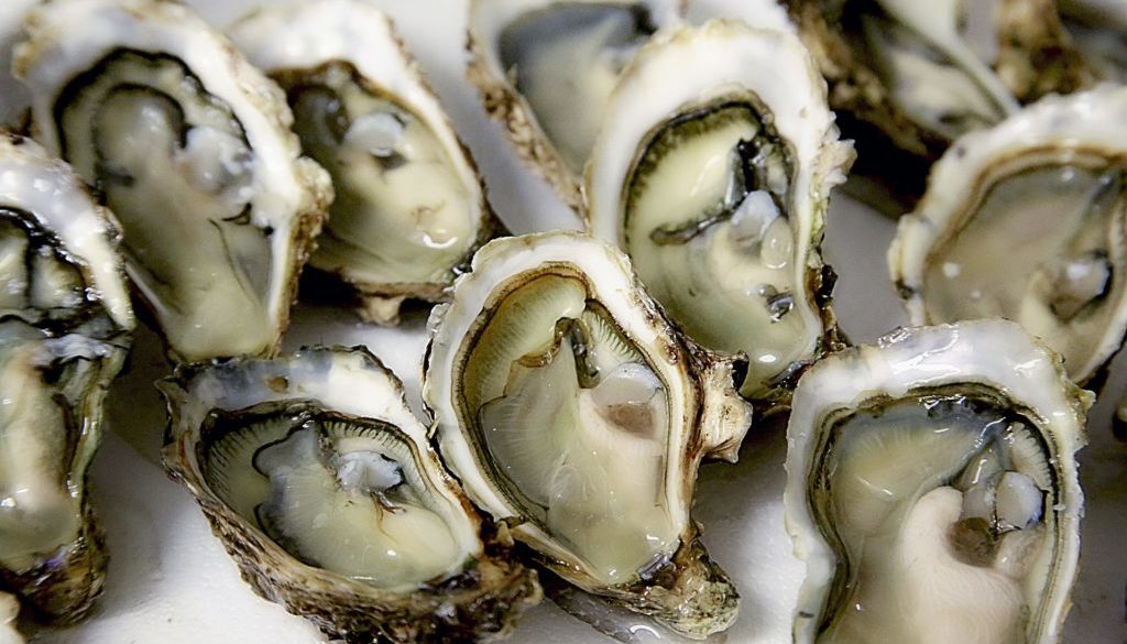 oysters_merroir
